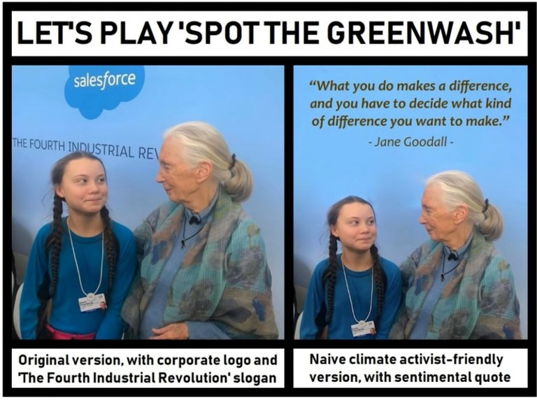 greta-godall-greenwash.jpg