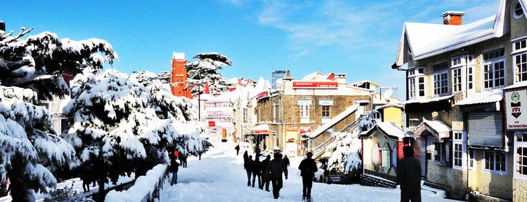 shimla-1.jpg