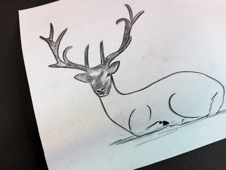 deerdrawing(4).jpg