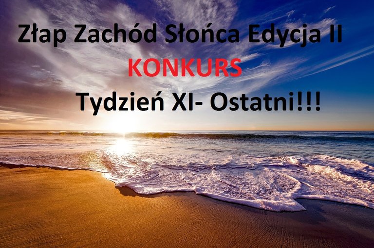 Tydzień XI.jpg