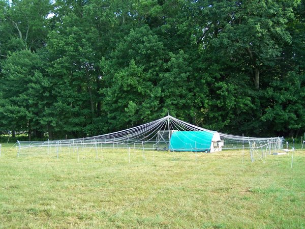 Pasture pen - birds out1 crop June 2016.jpg