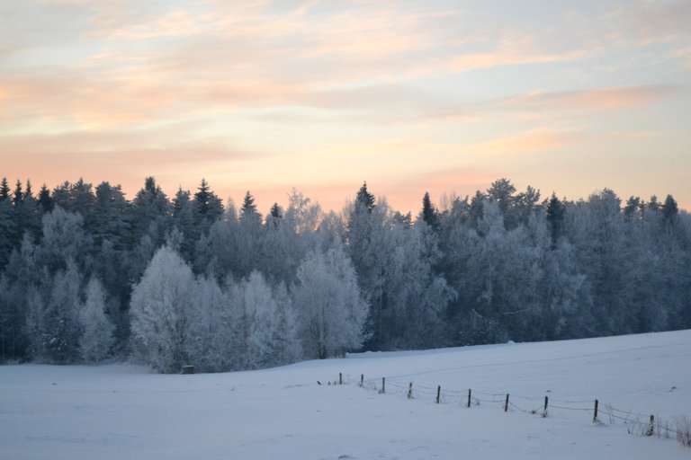 stockvault-winter-evening-in-countryside141081.jpg