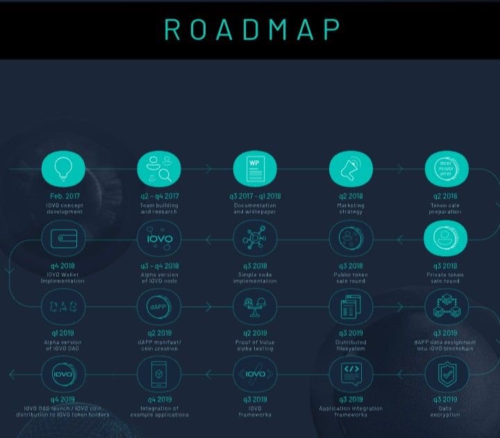 iovo roadmap.JPG