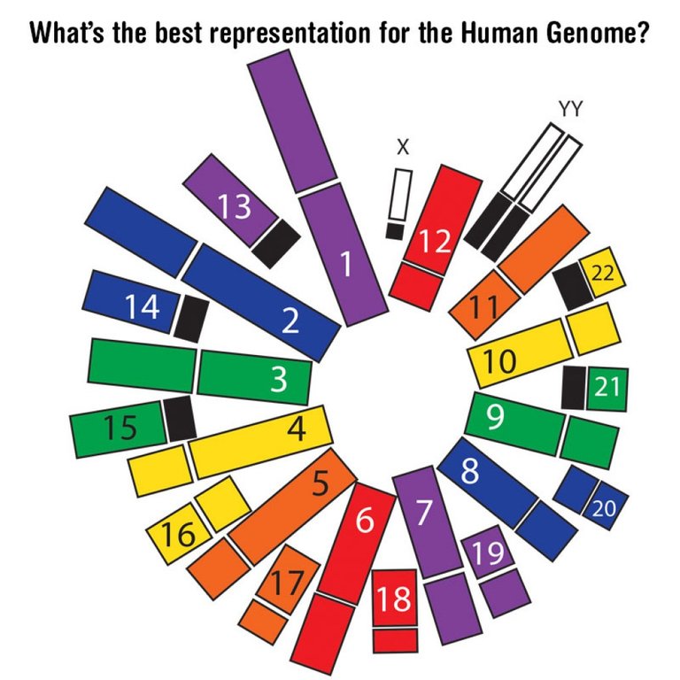 dna_clock.jpg