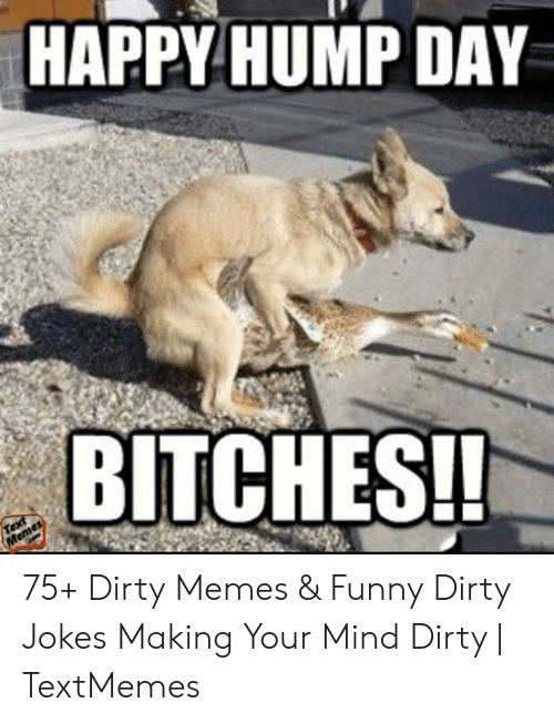 happy-hump-day-bitches-75-dirty-memes-funny-dirty-53561113.png