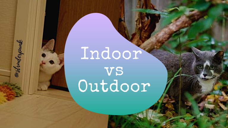 indoor vs outdoor.png