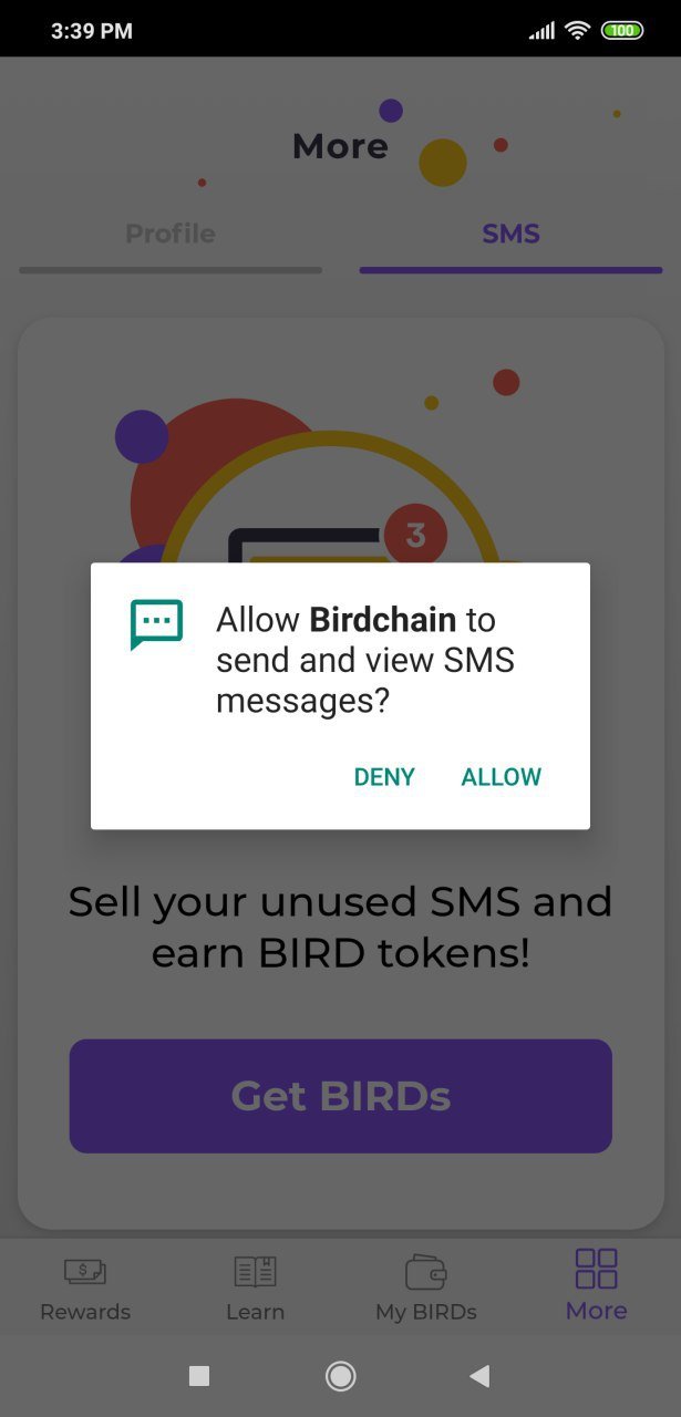 birdchain6.jpg