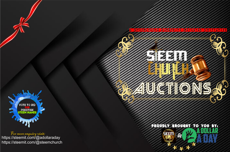 sc-auctions FLYER 2.png