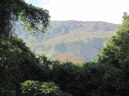 mount-cameroon.jpg