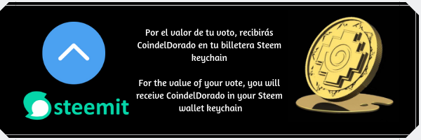 Por el valor de tu voto, recibirás en tu billetera Steem keychain CoindelDorado.png