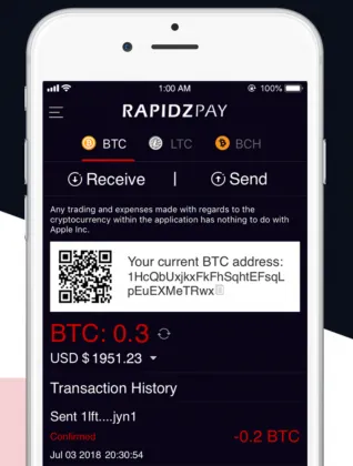 rapidzpay-ios-app-318x420.webp