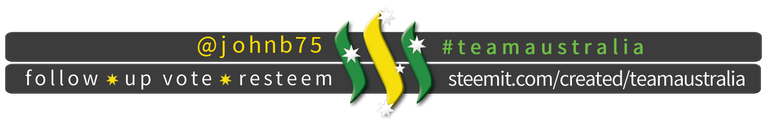 TeamAustralia Slim Banner