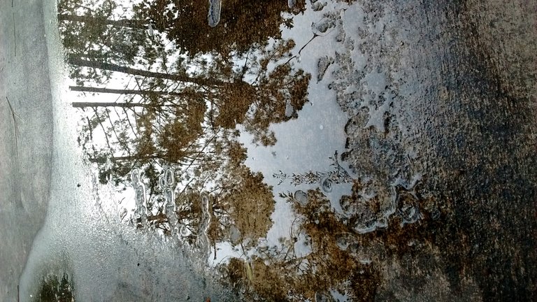 IMG_20180604_223633.jpg