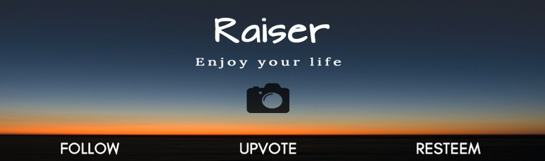 Banner Raiser v2 - Fotos.png