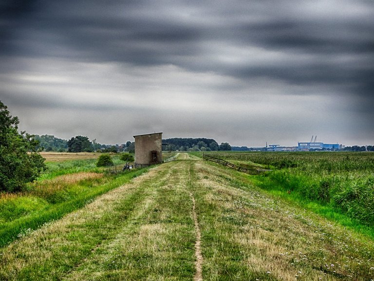 2019 - 08 - Wandern Usedom (460)-HDR_Snapseed.jpg