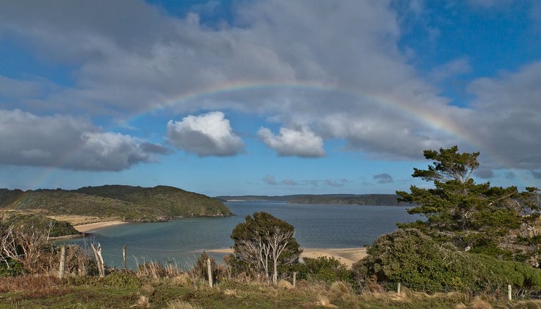 6426356587-ringaringa-point-viewrainbow (FILEminimizer).jpg