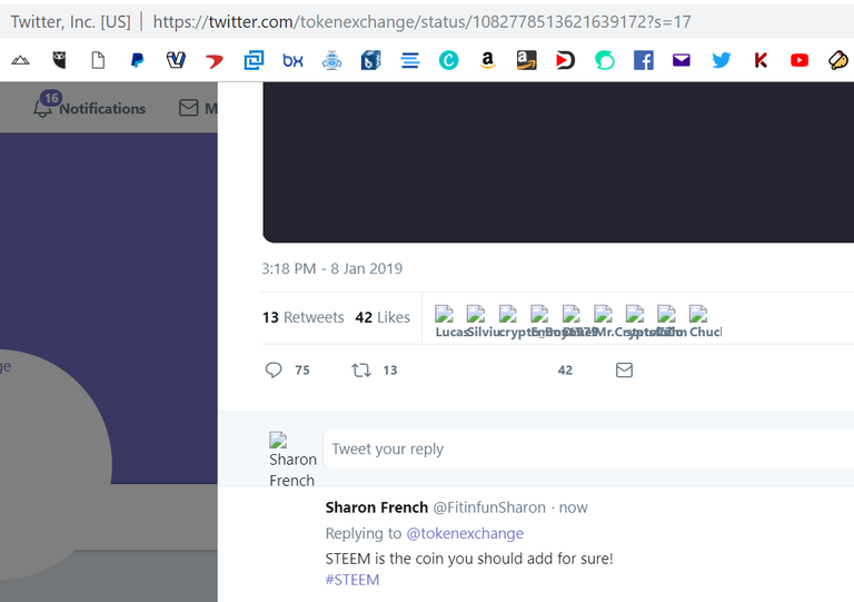 steem tweet fitinfun.PNG