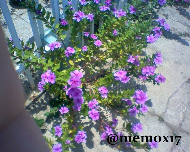 IMG20180430124717.jpg