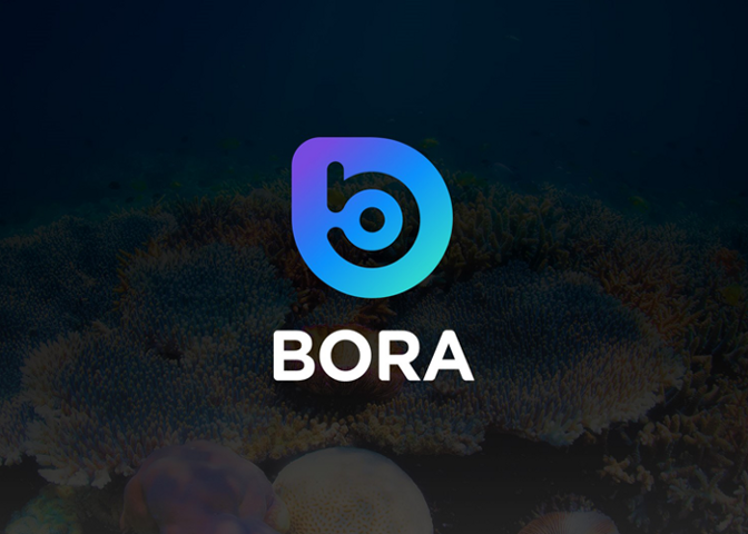 bora.png