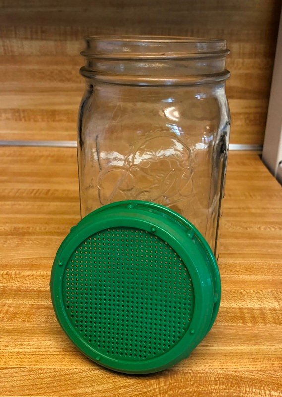 sprouting jar.jpg