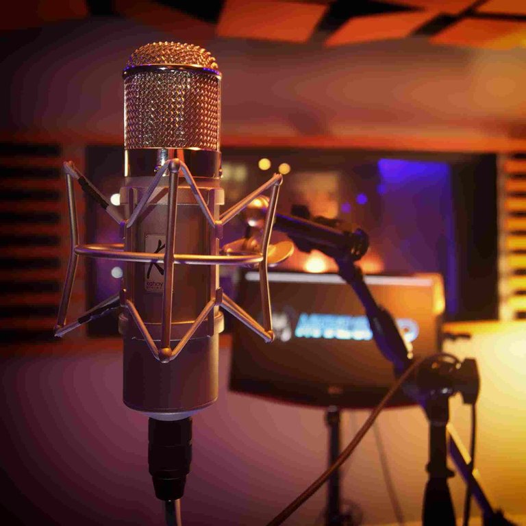 microfonia_microphone_recording_studio_estudio_grabacion.jpg