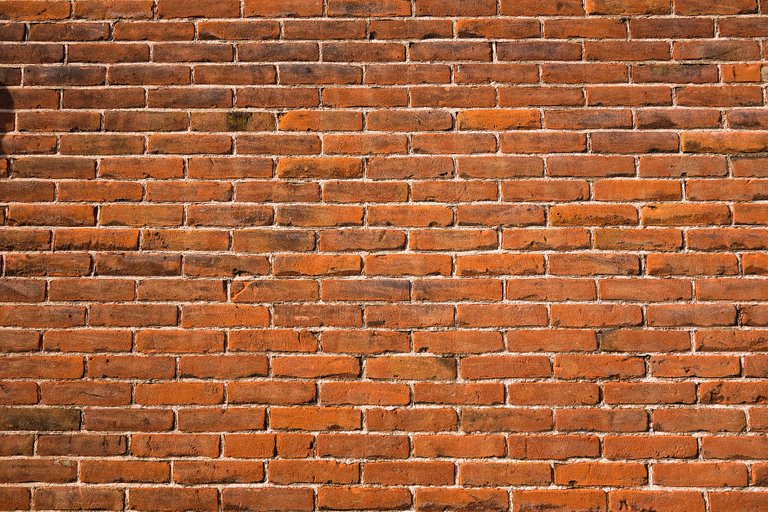 brick-wall-3364411_1920.jpg