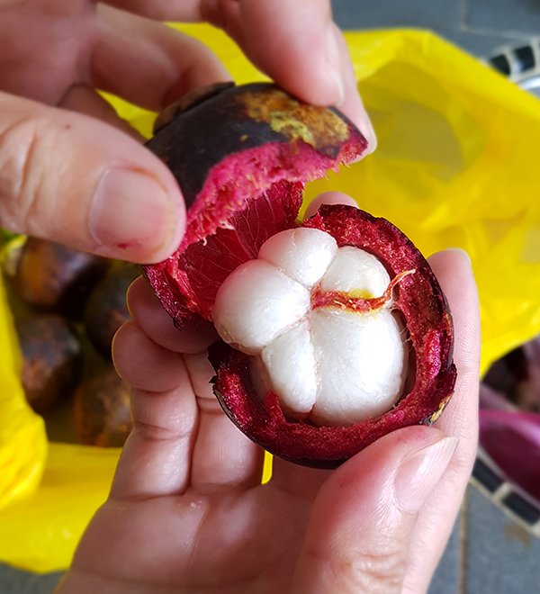 Mangosteens04.jpg