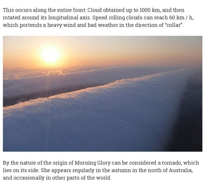 Morning Glory 2.jpg