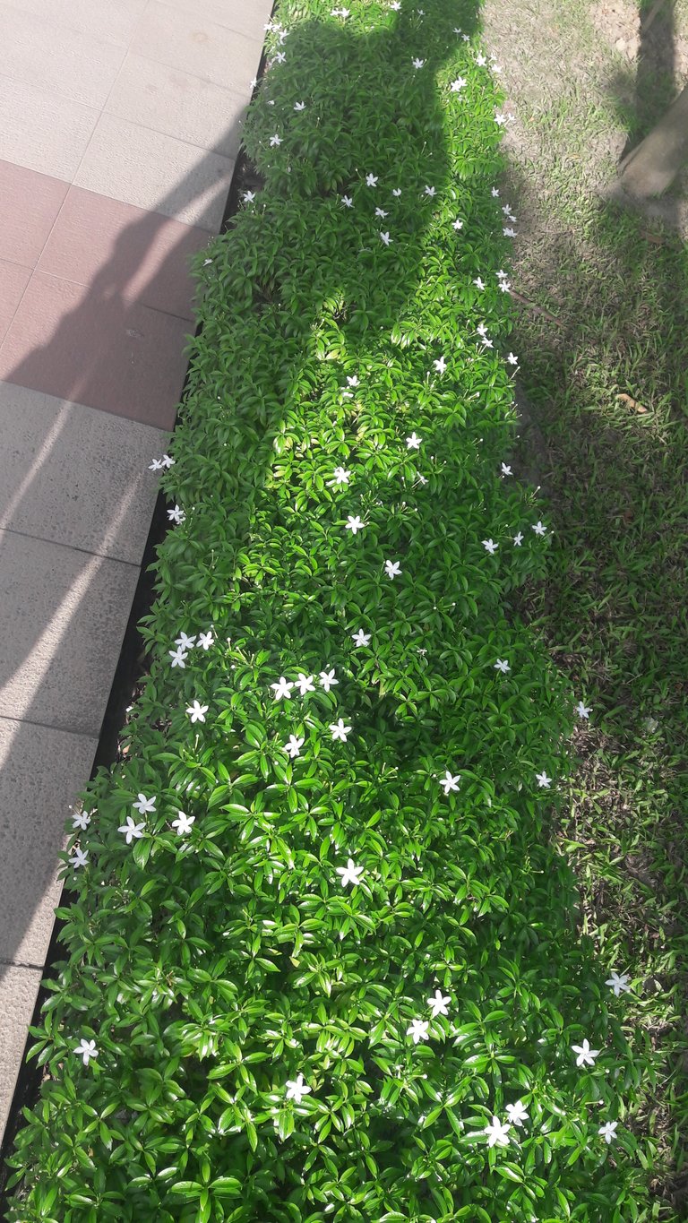 20180906_163307.jpg