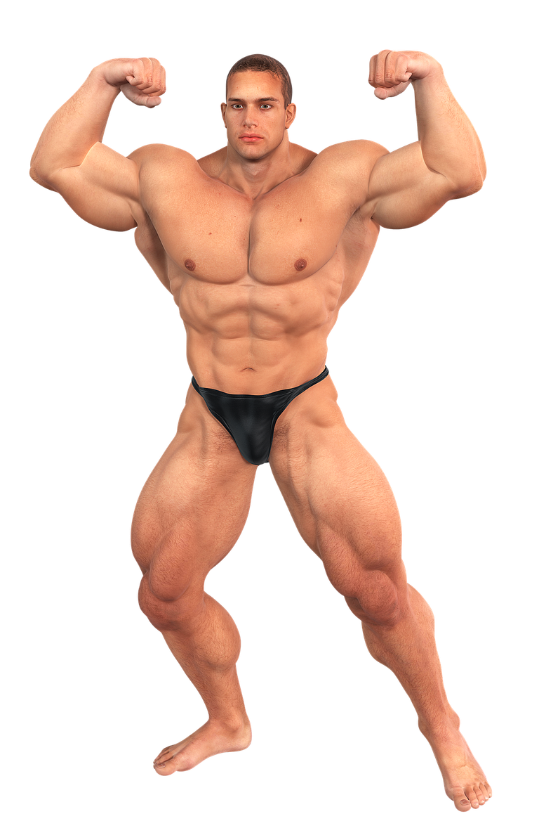 muscle building...png