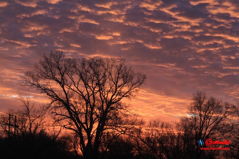 morning dawn sunrise golden-hour skyscape landscape IMG_0389.JPG