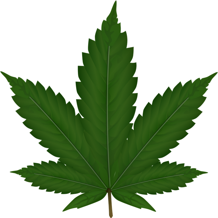 cannabis-306291_960_720.png