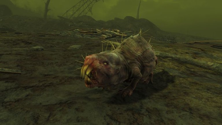 MoleRatBroodMother.jpg