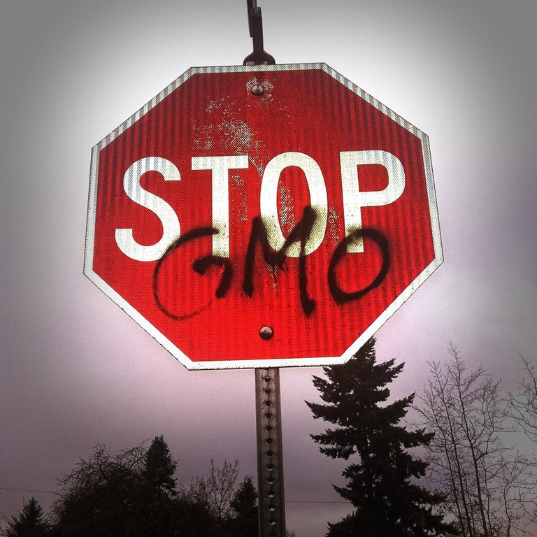 gmo-254539.jpg