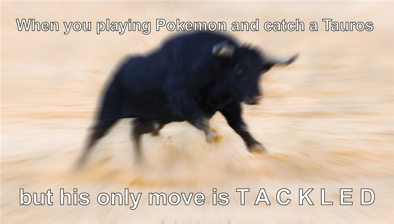 toro meme-01.png