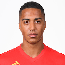 Youri Tielemans Foto Selección.png