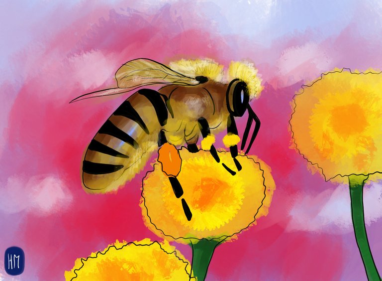 Bee (345).jpg