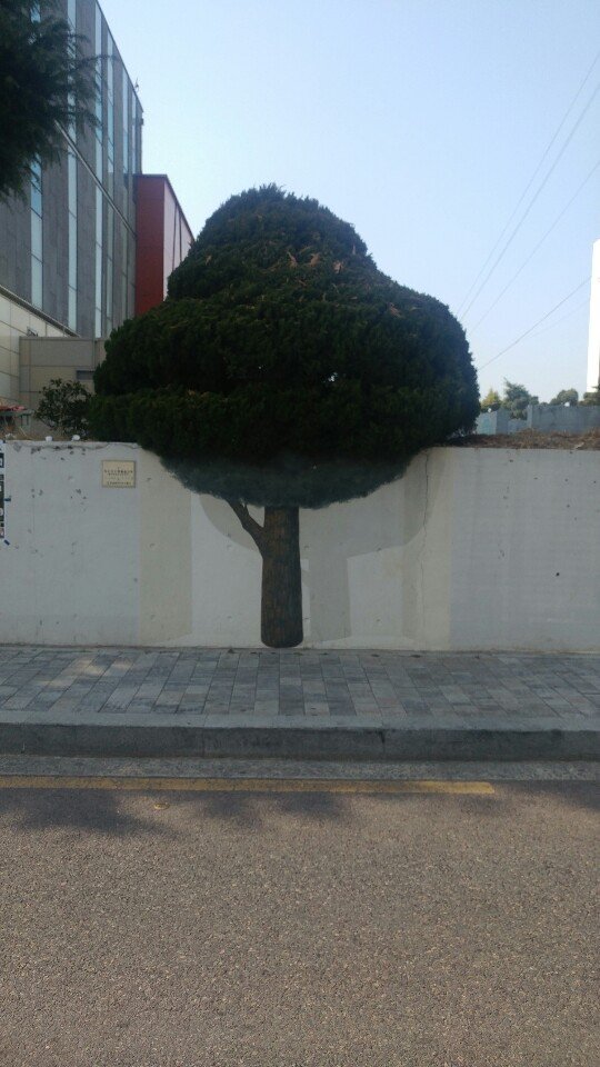 KakaoTalk_20190308_205654748_05.jpg