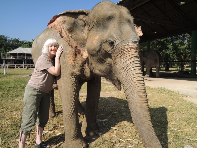 Cindy anbd Elephant for Steemit.jpg