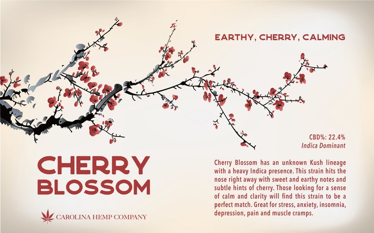 Cherry Blossom Full Swipe-01.jpg