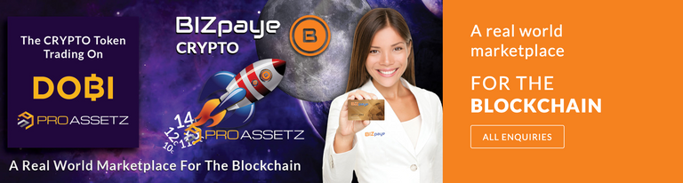 Bizpaye logo.png