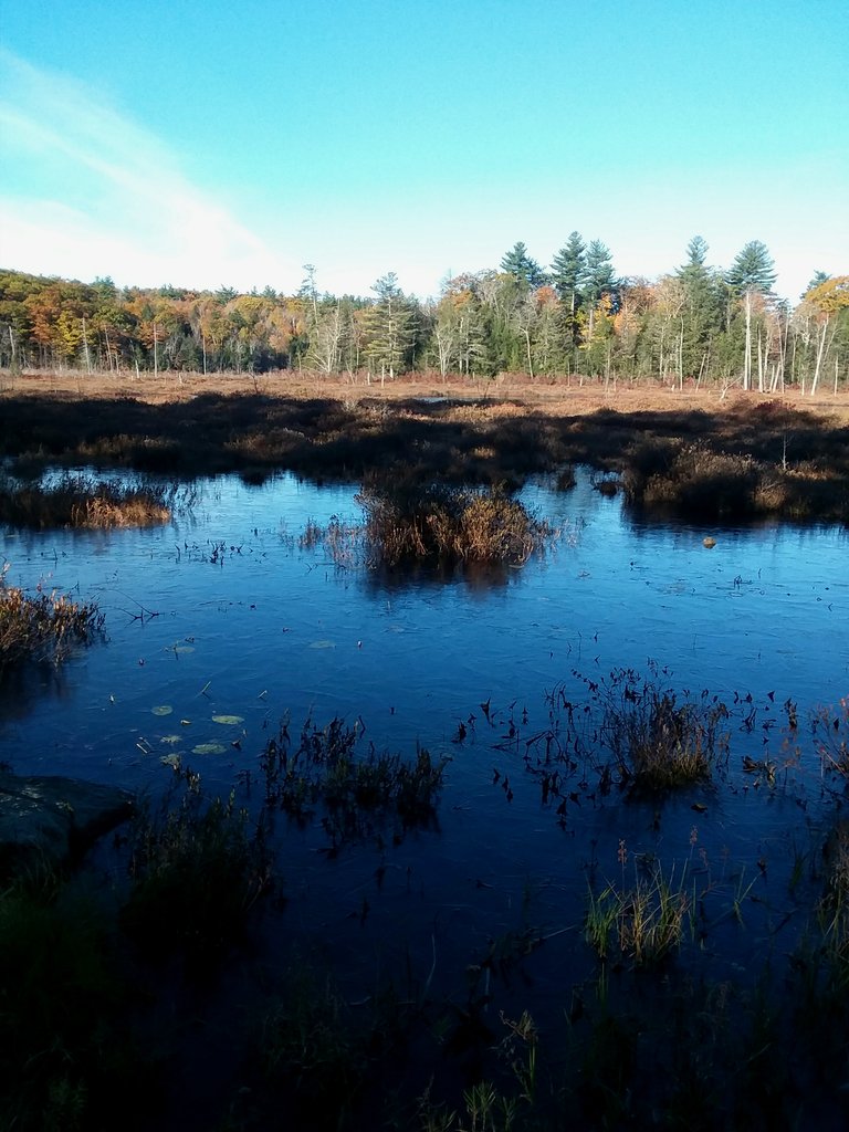 20181026_092302.jpg
