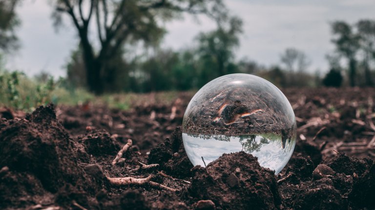 httpswww.pexels.comphotocloseup-photo-of-clear-glass-ball-on-soil-1080592.jpg