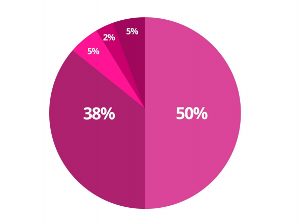 Bcnex token allocation.PNG