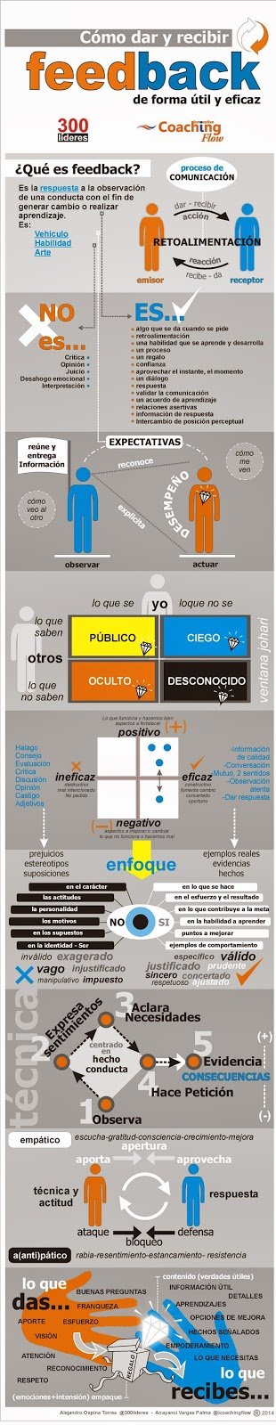 Infografia-Feedback-300lideres.jpg