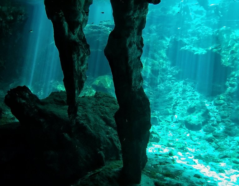 20180717_100616-grand-cenote-underwater-sunbeams.jpg