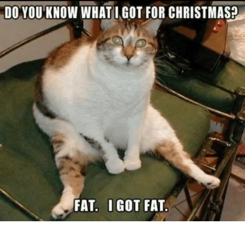 do-you-know-whatigot-for-christmas-fat-i-got-fat-29787366.png