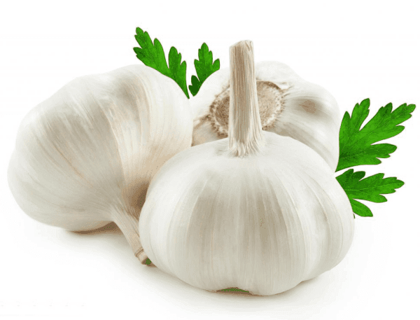 garlic.png