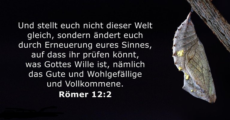 romer-12-2-2.jpg