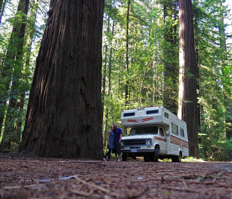 20160527-165314-jess-ben-rv-redwoods-1200.jpg